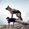 Tactical Dog Harness With Pouches; Adjustable Harness With 3 Detachable Pockets - Black - M