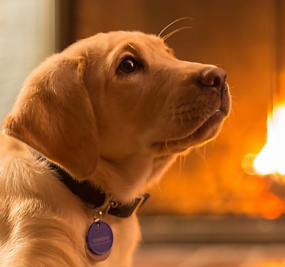 When a wildfire threatens, be ready